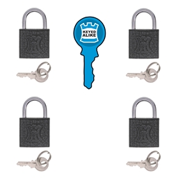 P1F10 - Iron Keyed Alike